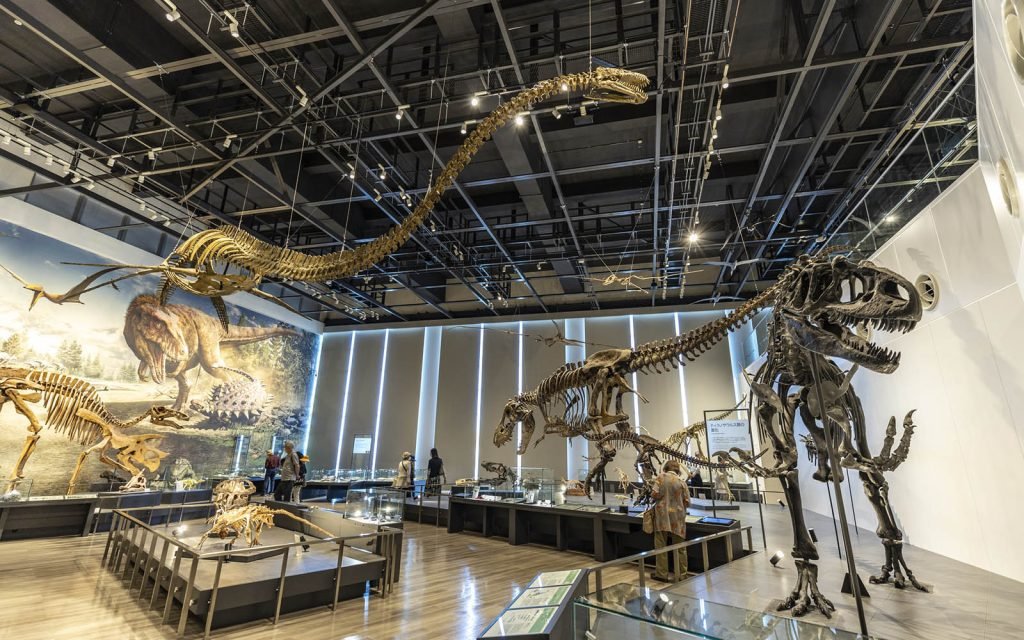 🏛️ 미야자키현 종합 박물관(미야자키켄 소고 하쿠부쓰칸) 이미지 8